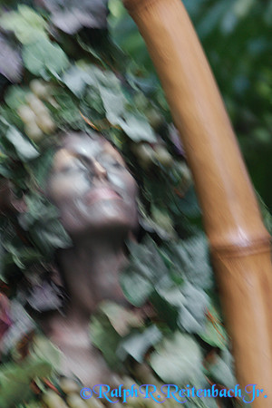 DSC06718