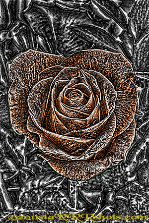 Image2F