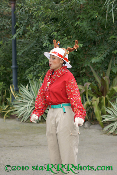 DSC03178