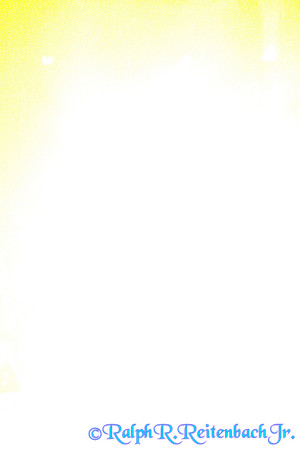 DSC01812