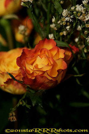 DSC09629