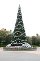 DSC00002.JPG