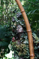 DSC06720