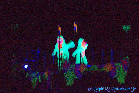 DSC06193