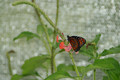 DSC03140