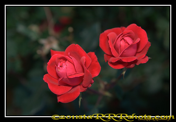DSC06970