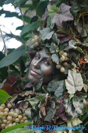 DSC06734