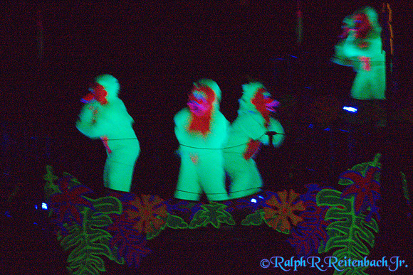 DSC06184