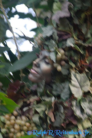 DSC06733