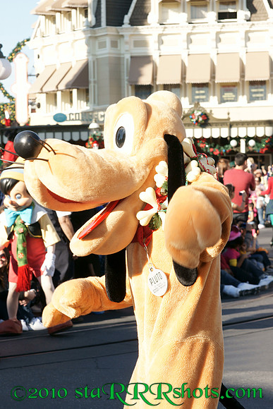 DSC05742