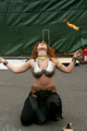 DSC07494