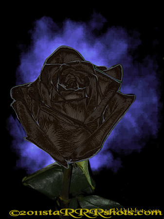 DSCN0292C black