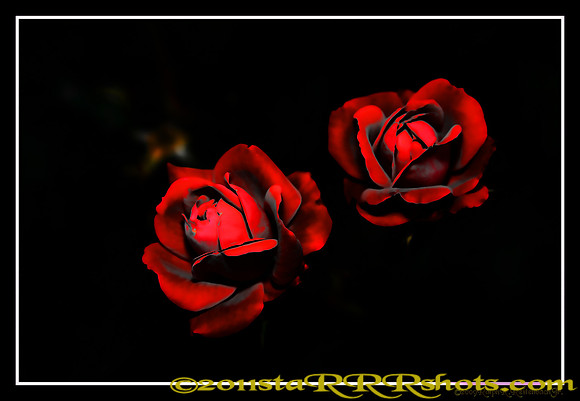 DSC06970G