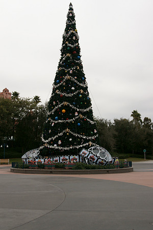 DSC00001.JPG