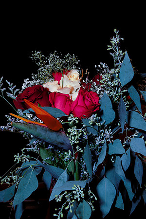 DSC01118-2-2
