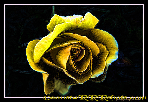 DSC06993E