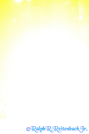 DSC01810