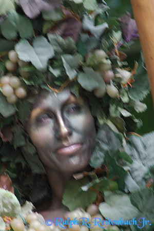 DSC06727