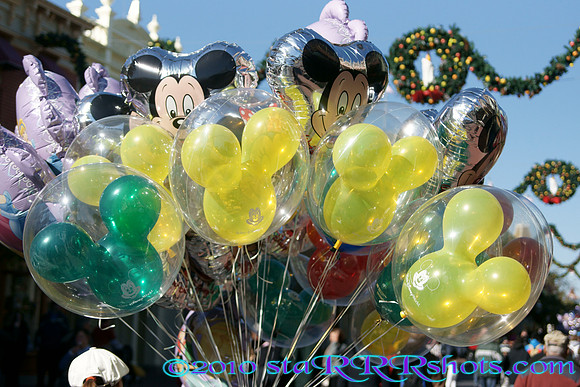 DSC00270.JPG