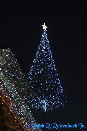 DSC06591