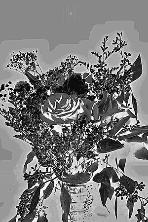 DSC01124-2-2_peag