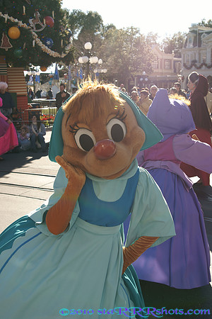 DSC00371.JPG