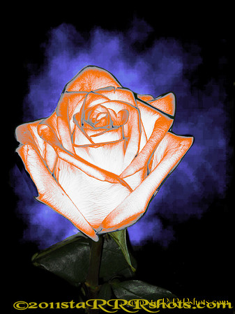 DSCN0292Cdreamsicle