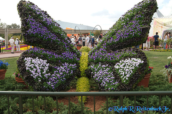 DSC01515 (2)