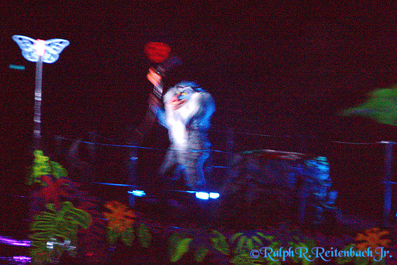 DSC06201
